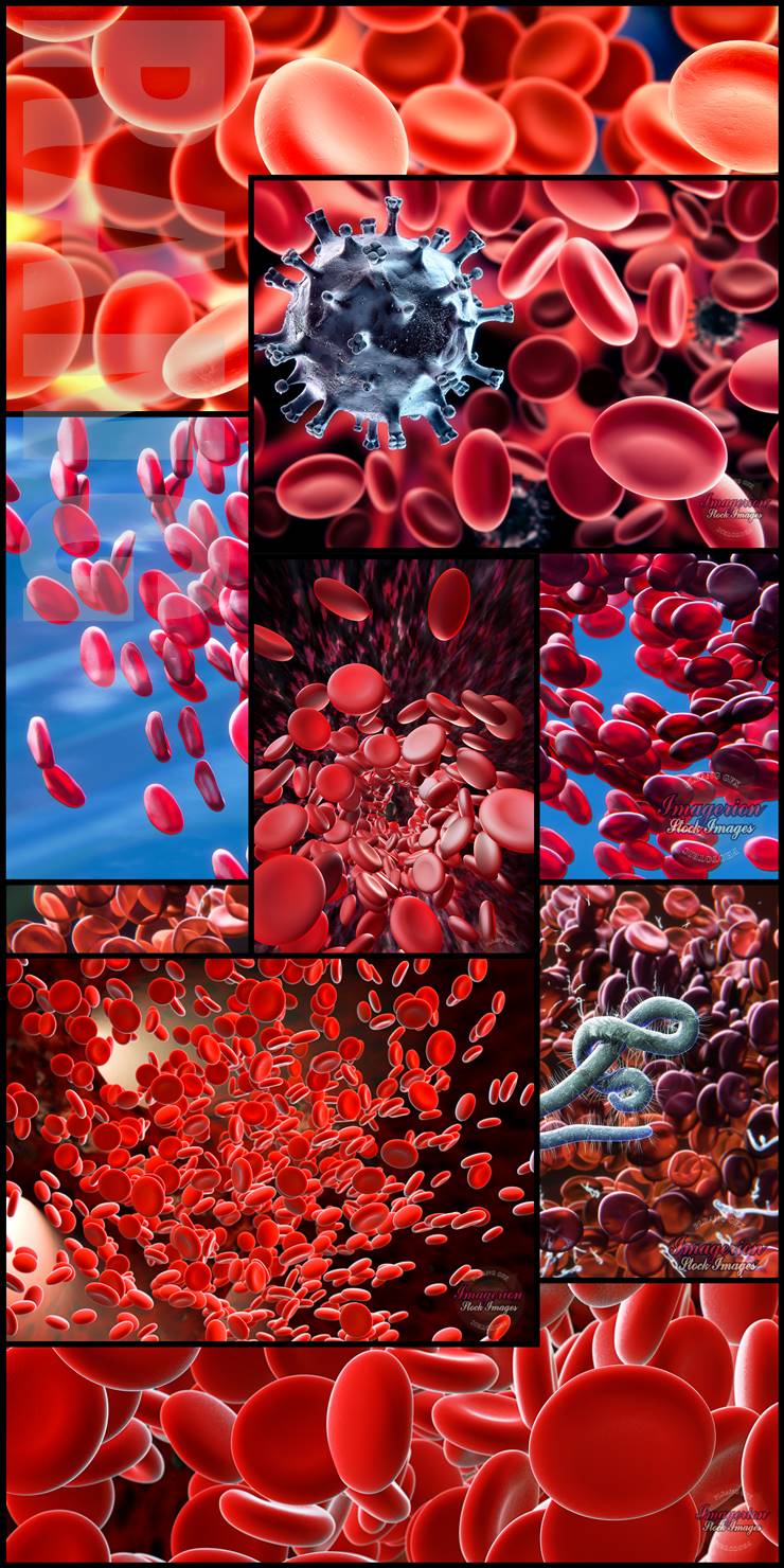 Krew i wirusy, ilustracje czerwonych krwinek - Blender 3D