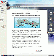 Strona www Get Consulting