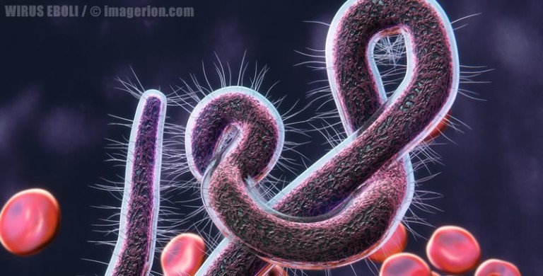 Ebola grafika 3D blender