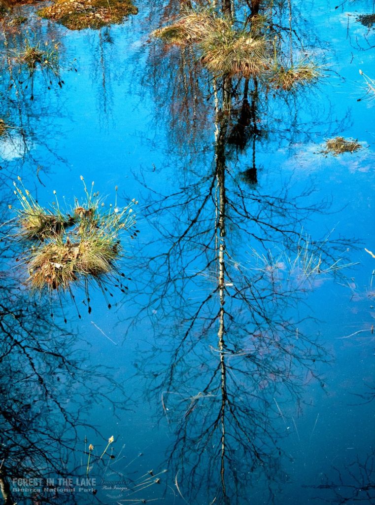 Niezwykły krajobraz - Dolina Biebrzy